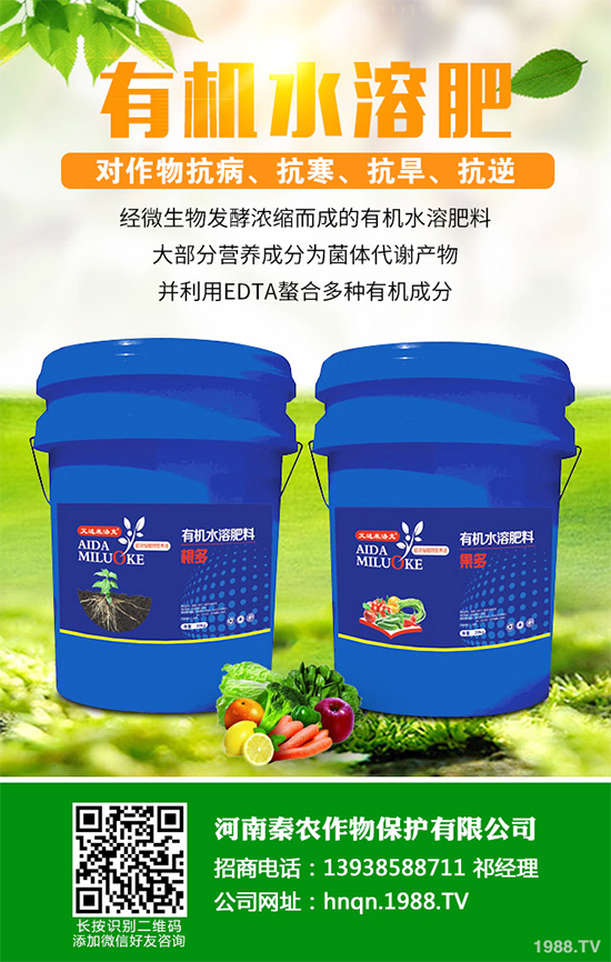 山楂什么時(shí)候種植?山楂樹高產(chǎn)種植方案