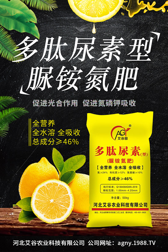 �ļ����NֲҪ�c���ļ������缼�g�����ڹ���