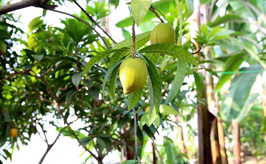 �۹�˲���(hu��)