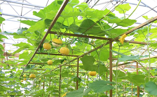 �۹�˲���(hu��)