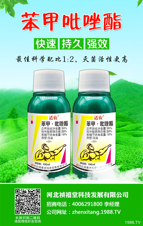 ����(n��i)������ԭˎ�r(ji��)��