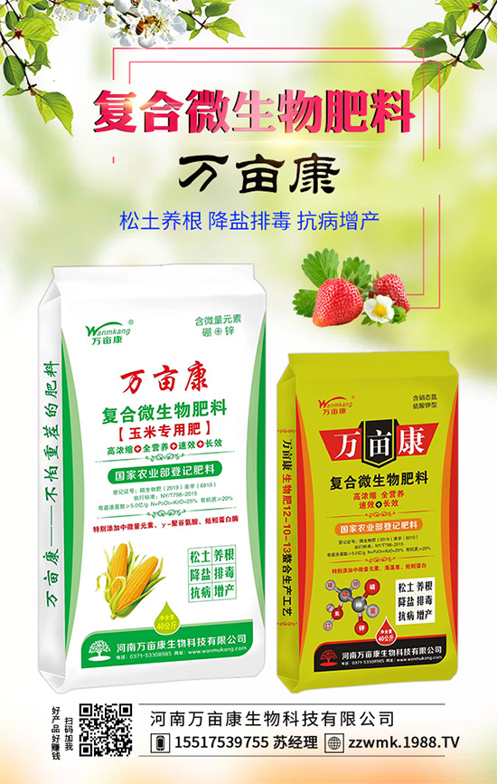 白掌不開花是什么原因?白掌不開花解決措施!