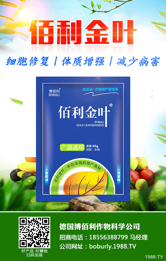 蘿卜撇葉中應(yīng)該注意什么?蘿卜撇葉的方法及注意事項!