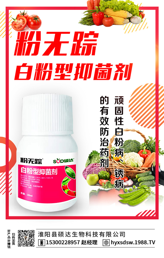 ������ô�Nֲ�������Nֲ���g(sh��)Ҫ�c��