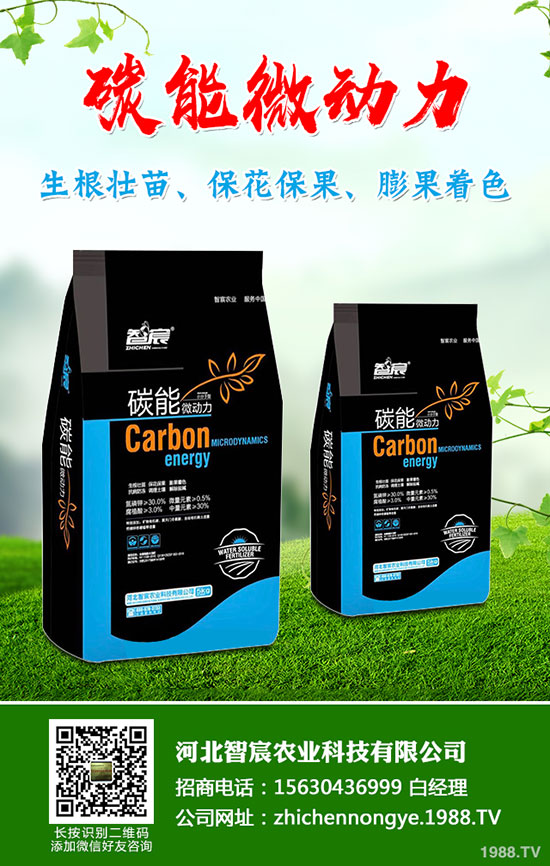 5����(n��i)�׷��Ј���ȥ�Ώģ�����һ�@���@�r�������߄��A(y��)�y��