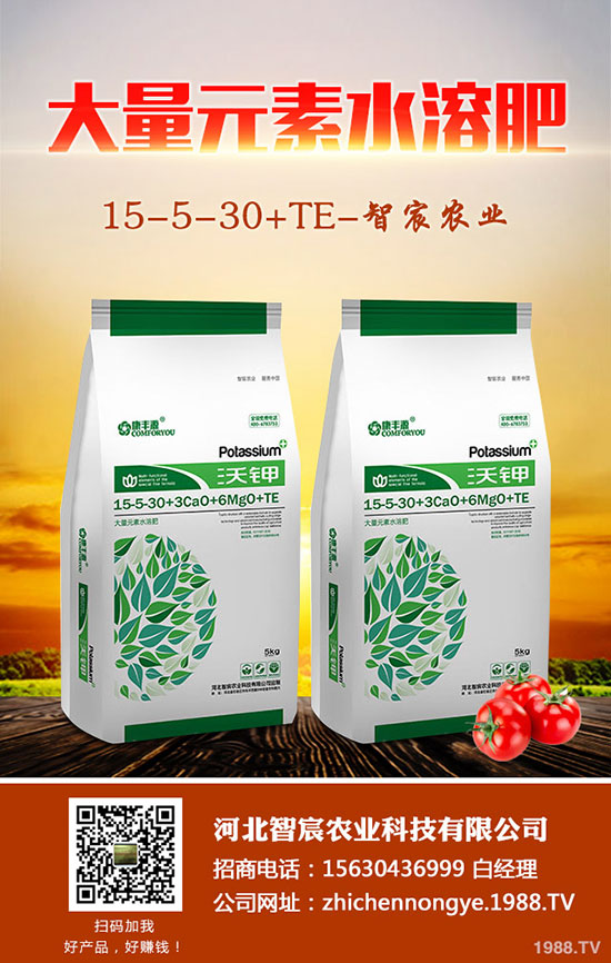 2020��5��15�ս���������(n��i)�ͺϷʃr���߄ݼ��������u