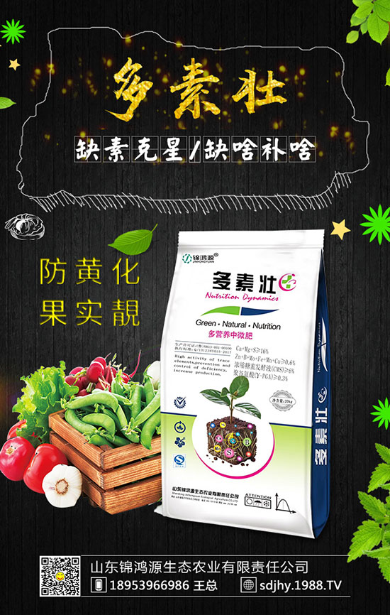 火龍果育苗方法有哪些,火龍果育苗要點(diǎn)及苗期管理!