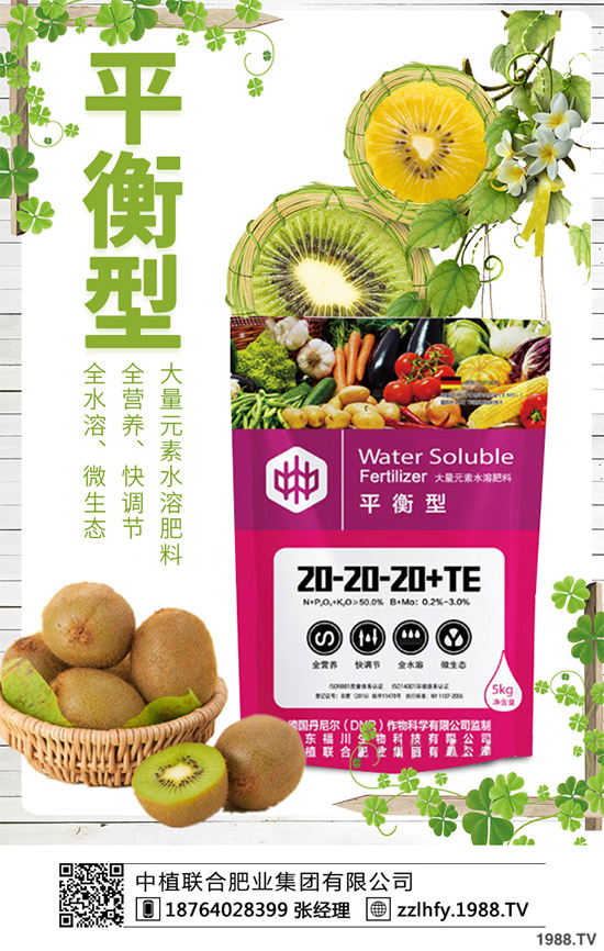 茄子需要施什么肥料？該如何施肥？茄子高產(chǎn)施肥技術(shù)