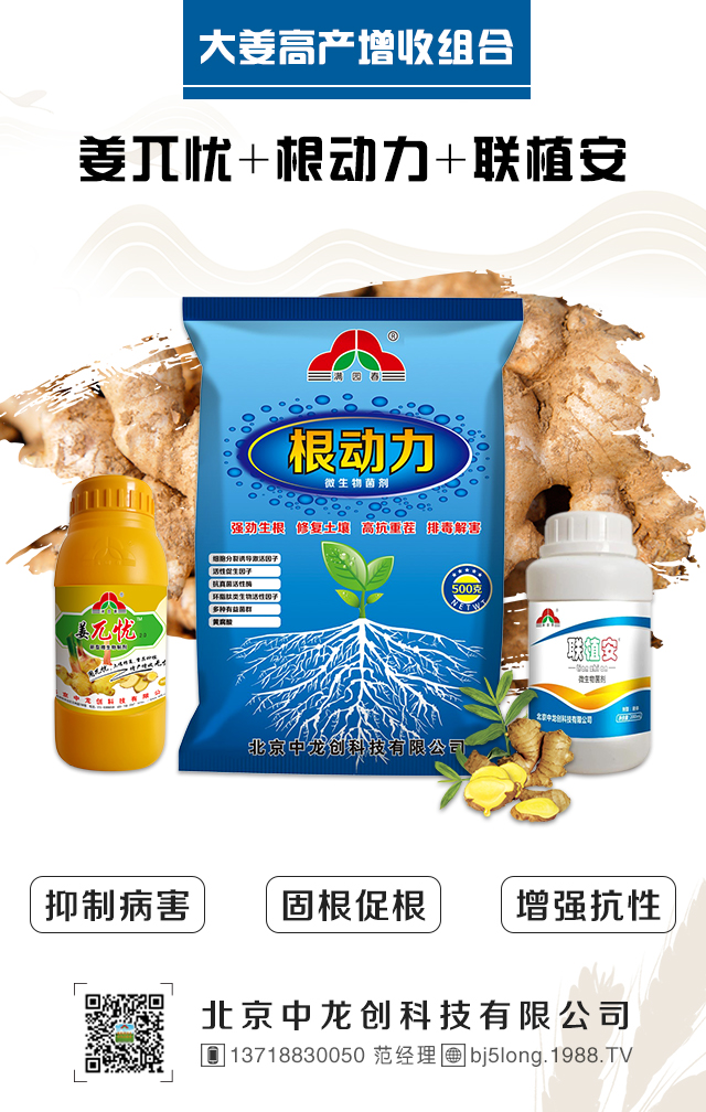 ����������(chu��ng)