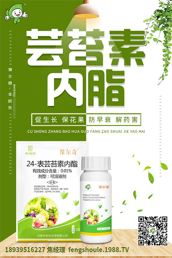 ��ɺ��ԓ��ô�Nֲ����ηNֲ�ܸ߮a(ch��n)����ɺ���߮a(ch��n)�Nֲ���g(sh��)