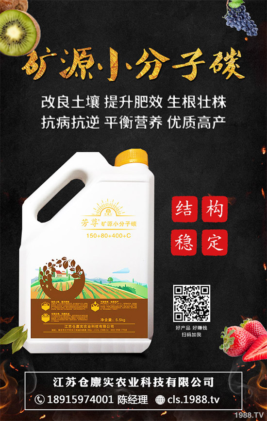 ����⛷ʃr���Ј������܈�(b��o)