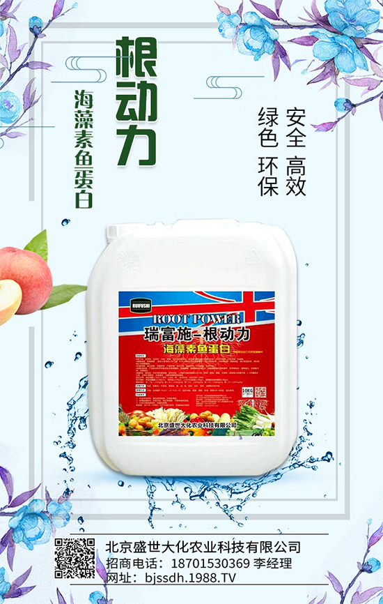 ��֦���L�h(hu��n)��Ҫ������֦��޽ӷ�����ʩ��ԭ�t��