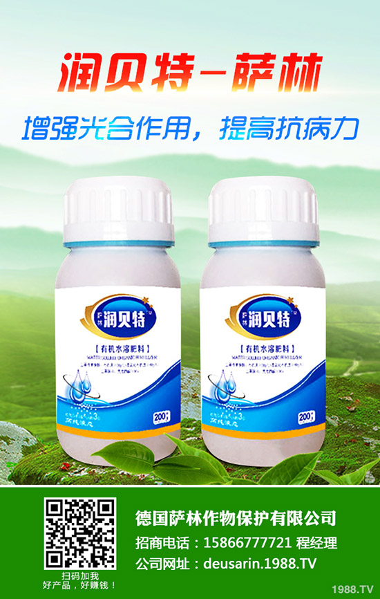 ��ۘ���ô�B(y��ng)����ۘ���B(y��ng)ֳ������ע�����(xi��ng)