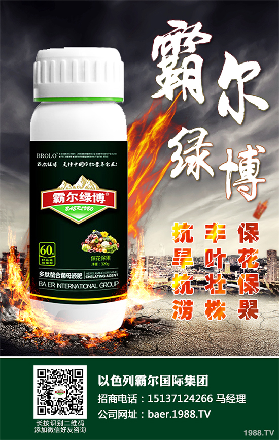 ������ʲô�r�򲥷N��2020���������粥�����ă�(y��u)ȱ�c����