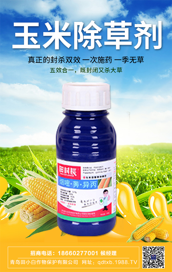 ���׷N�Ӱ�N��ʲô�������������ڹ���Ҫ�c(di��n)��