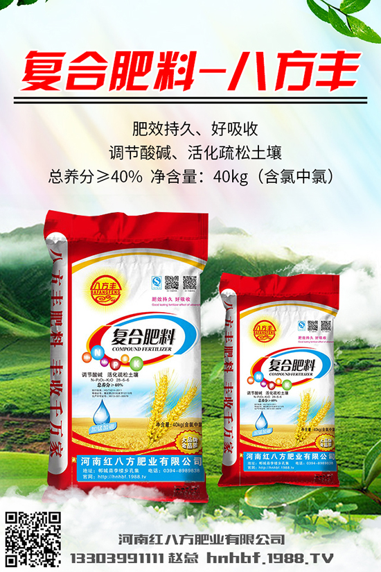  川貝母多少錢一克？川貝母的種植前景及種植技術！