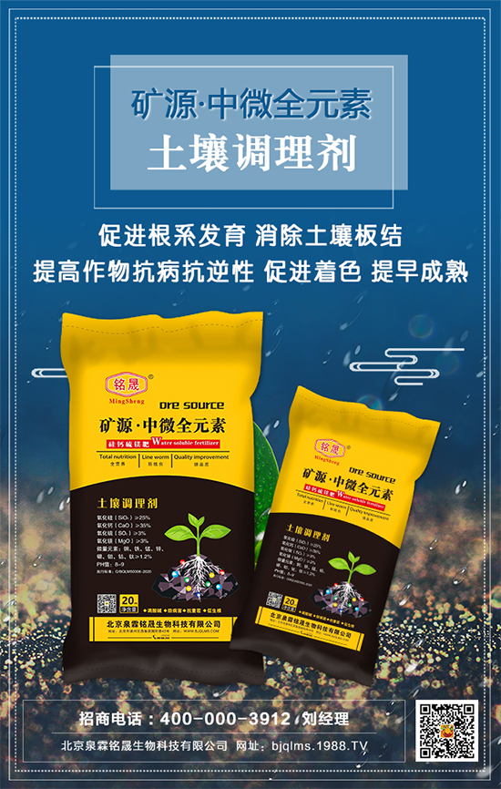 ��֥��ʲô�r�g�Nֲ����֥�����༼�g(sh��)Ҫ�c��