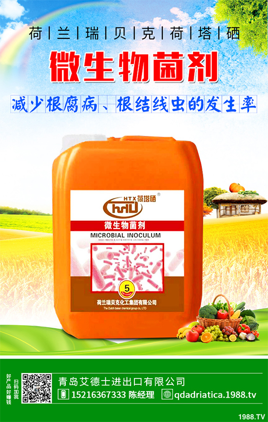 ΢�������