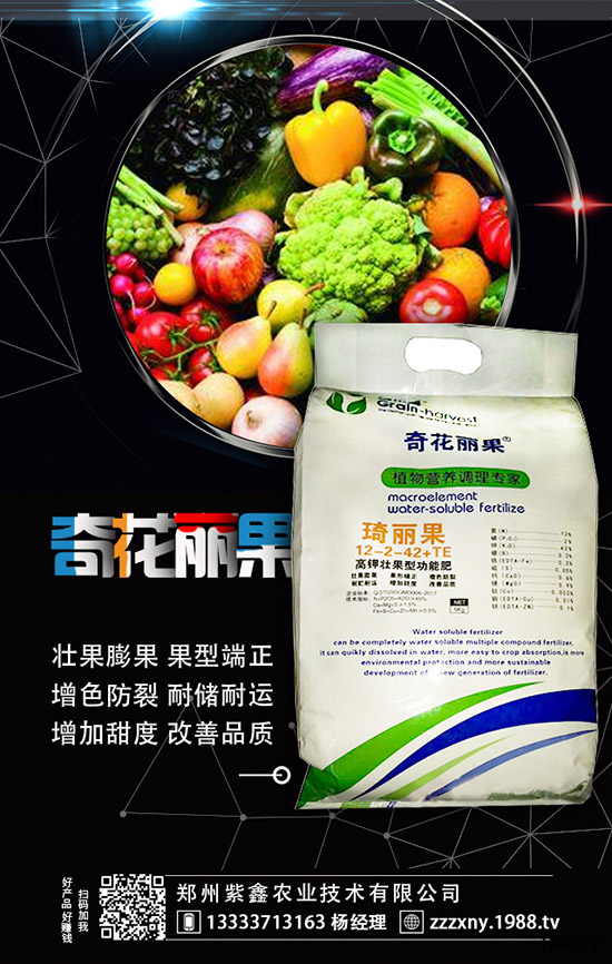 ��ݮĸ�綨ֲ������ʩ�ʣ����ӝ�ˮ��