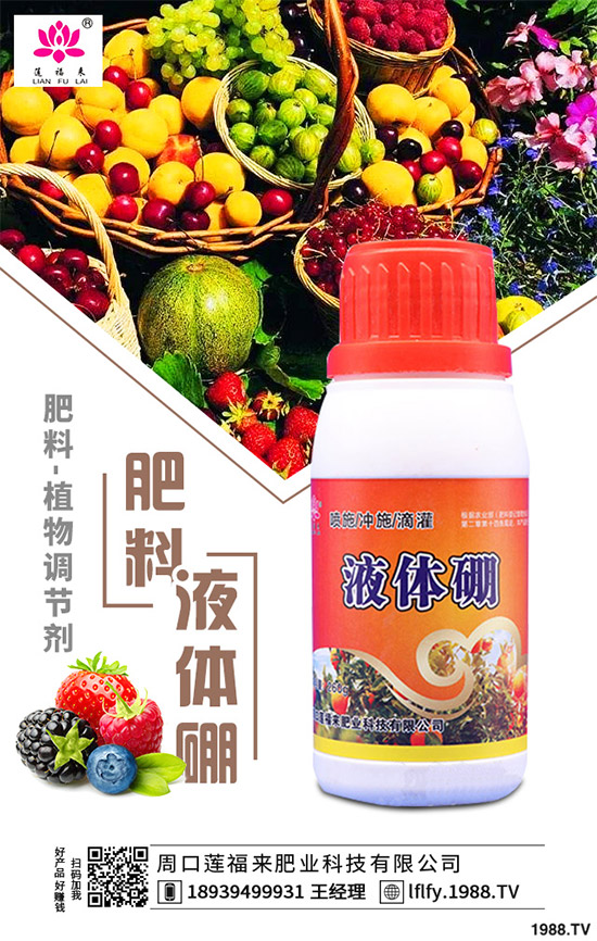 決明子有哪些神奇功效？種植決明子能掙錢嗎？2020決明子種植前景分析