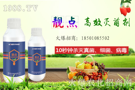 ����Ƭ��ʲô�������ԙ�����ʲô��̎��