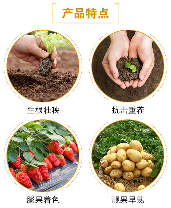 ��������-(li��n)��μ�_06