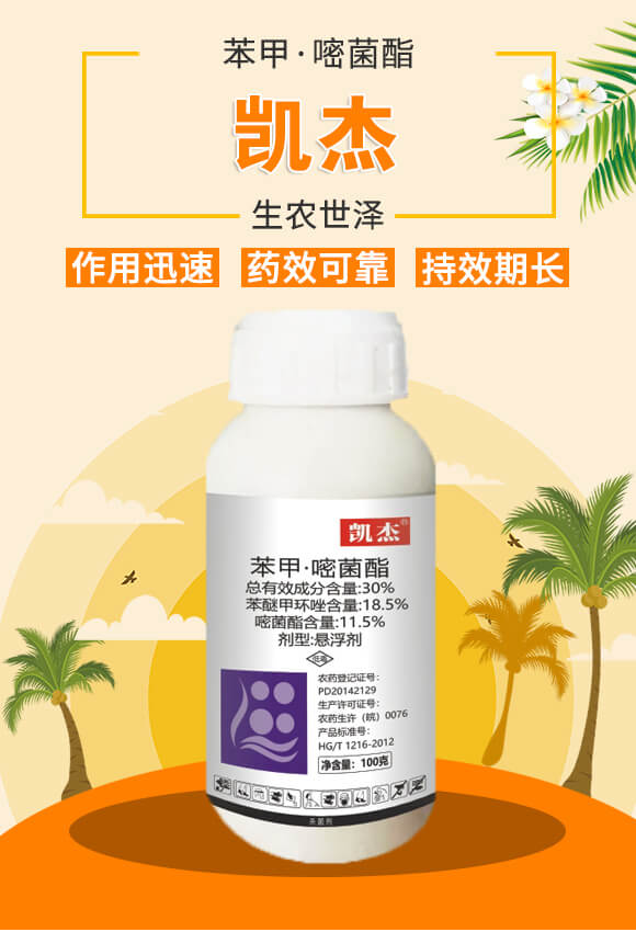 30%���ס��׾���-�P��-���r(n��ng)����_01