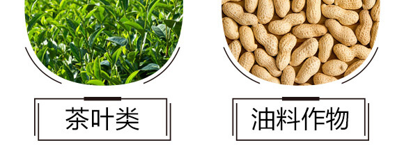 ̼��˷�-�{���T-̼����H_07