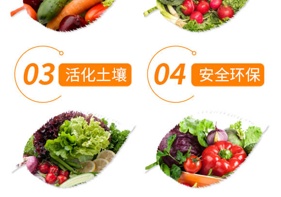 ���Y(ji��)���x��Ч̎�턩-��������_06