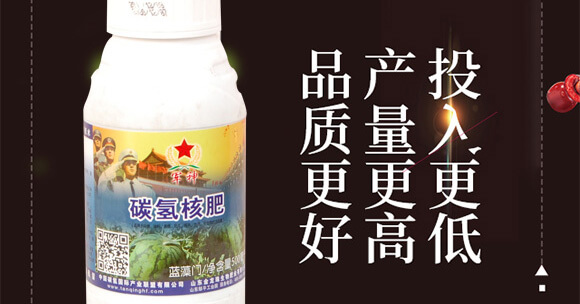 ̼��˷�-�{���T-̼����H_02