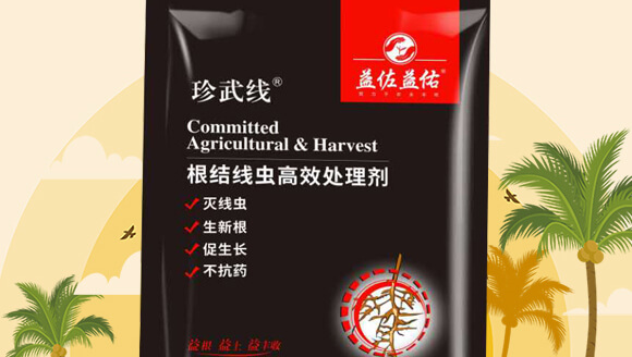 ���Y(ji��)���x��Ч̎�턩-��������_02