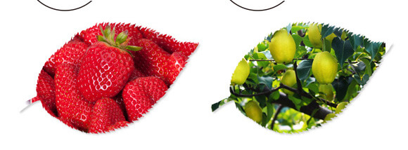 ̼��˷�-�{���T-̼����H_10