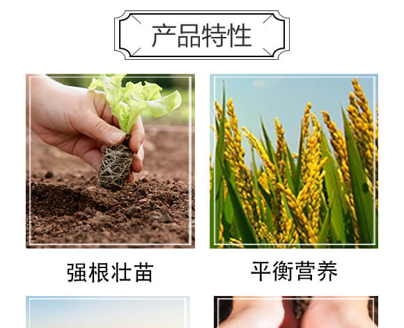 ΢�������-�r(n��ng)��һ_06