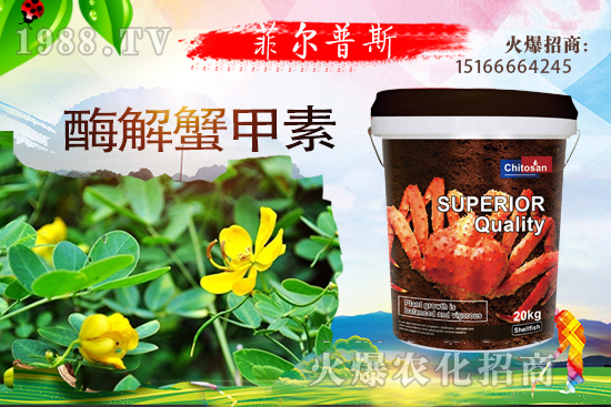 ������ô�Nֲ�������Nֲ���g(sh��)Ҫ�c��