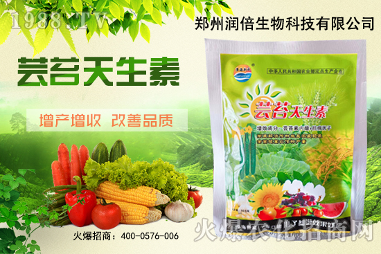 黃連苗期怎么管理？黃連苗期病蟲(chóng)害防治！