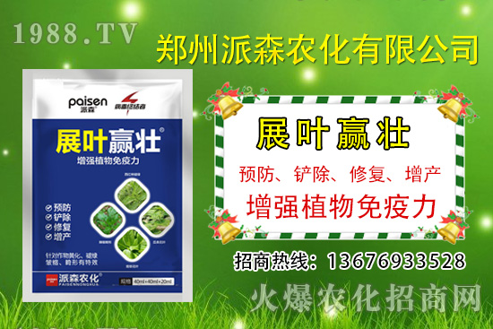 �²�ʲô�r�򲥷N���²��Ј�ǰ����������Nֲ�ɱ�������������