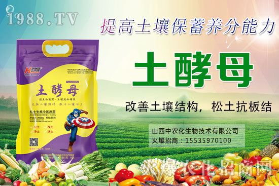 葡萄套袋有哪些好處,葡萄套袋技術(shù)要點(diǎn)及注意事項(xiàng)!