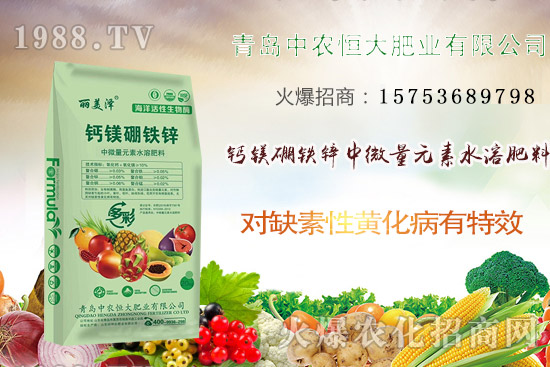 韭菜什么時(shí)候播種？韭菜市場(chǎng)前景如何？（附種植成本及利潤(rùn)分析）