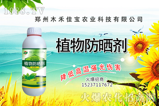 ѿ��˷Nֲǰ����ô����ѿ��˷Nֲ���g(sh��)����Щ��