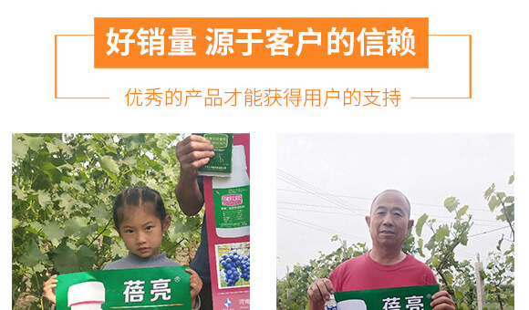 河南騰豐農(nóng)業(yè)科技有限公司_06