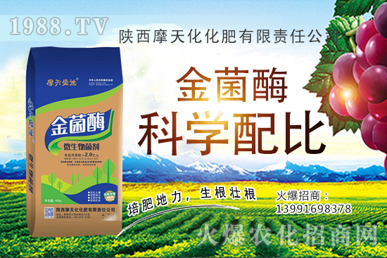 �Nһ���O���ĳɱ��Ƕ������ж����������O���Nֲ���g(sh��)�c������