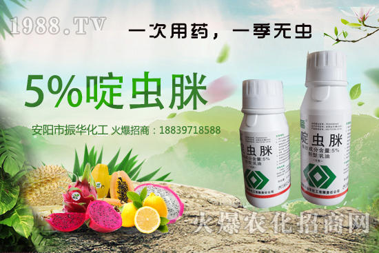 ���x��ԭˎ�r��