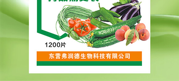 �ѹ�ͨ�Ý�s��-����ʭ��-������_03