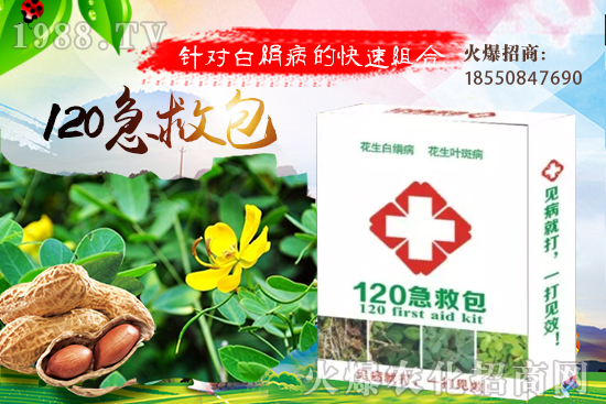 �ȹ����緽������Щ���ȹ���ô���Զ�ֲ��