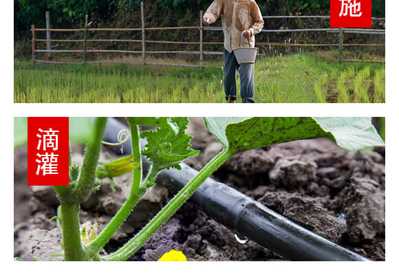 山東濟寧金網(wǎng)聯(lián)配方肥有限公司產(chǎn)品詳情頁2_08