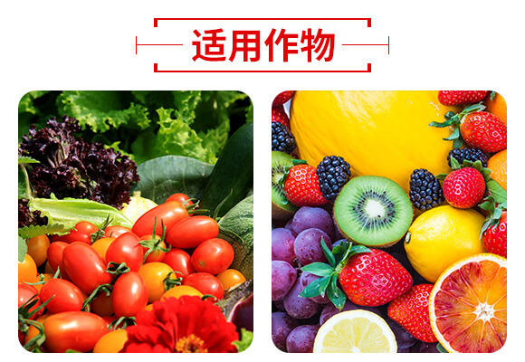 山東濟寧金網(wǎng)聯(lián)配方肥有限公司產(chǎn)品詳情頁2_05