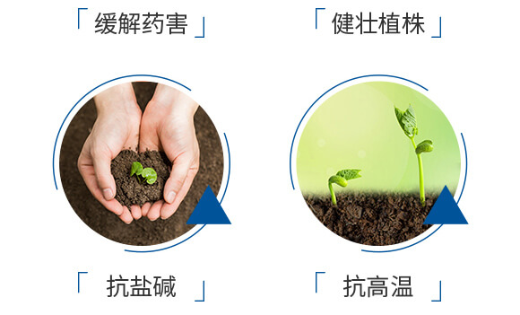 ø���~�����ܝ{��ƿ��-��(y��u)�׿�-����_06