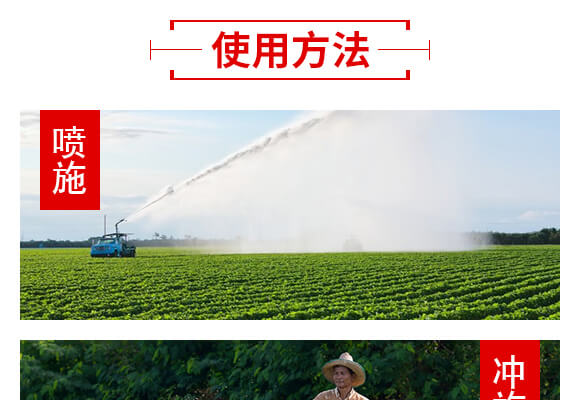 山東濟寧金網(wǎng)聯(lián)配方肥有限公司產(chǎn)品詳情頁2_07