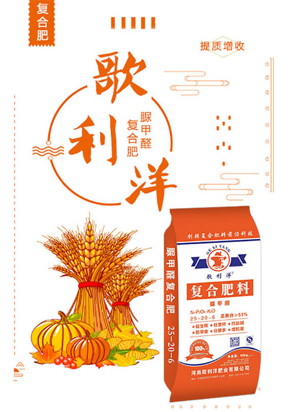 ���ȩ�ͺϷ���25-20-6-������_01