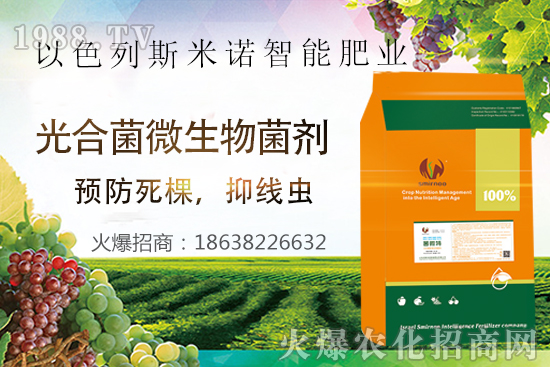 ���Y(ji��)���xΣ������̫�y��������΢�ء����æ�����ƾ��x���x�����Ƀ���